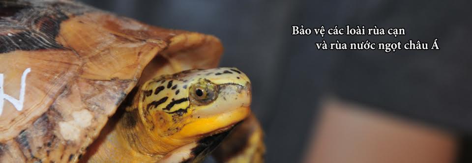 Bảo[-]tồn[-]hôm[-]nay[-]để[-]nhìn[-]thấy[-]ngày[-]mai[-]!